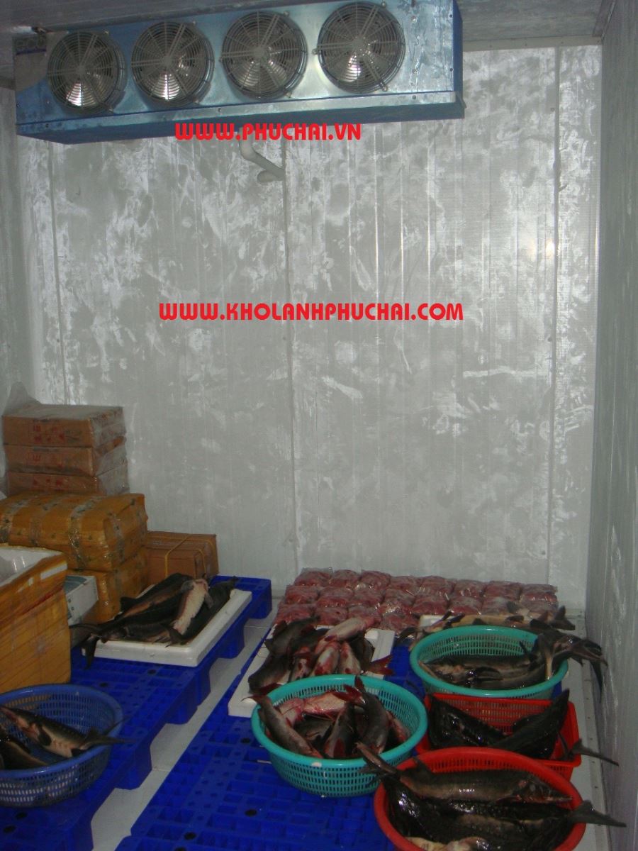 Lắp đặt kho trữ đông thủy sản - Kho Lạnh Phúc Hải - Công Ty TNHH Cơ Điện Lạnh Phúc Hải